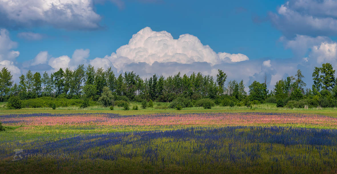Радость лета!