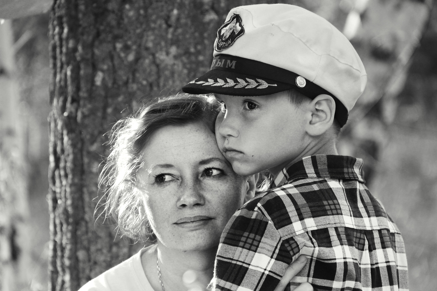 Утро в лесу