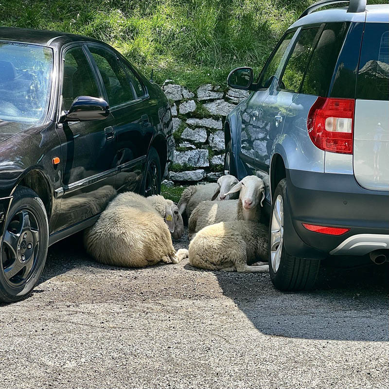 Привал в горах