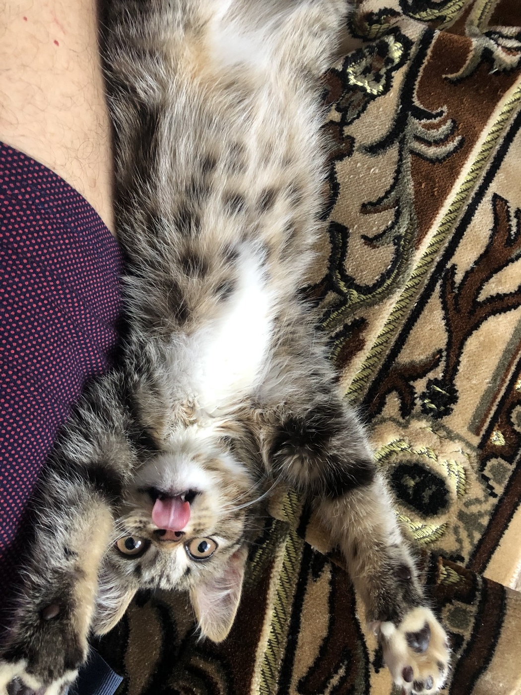 Всем привет!