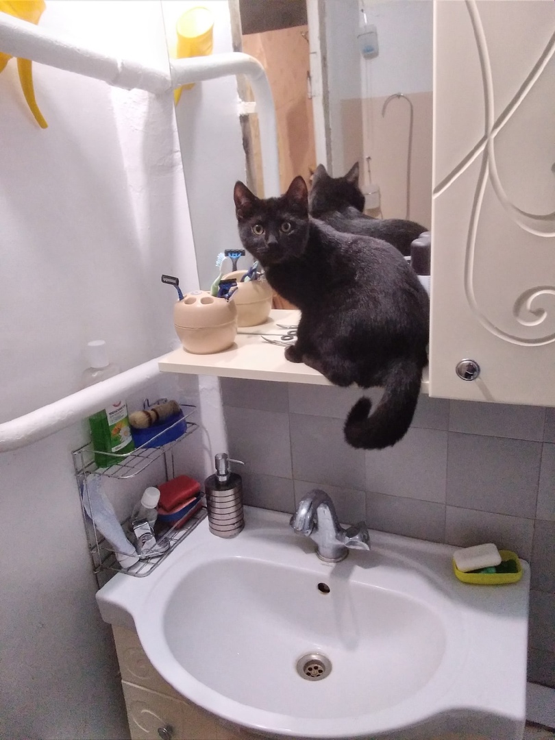 пойман на месте преступления