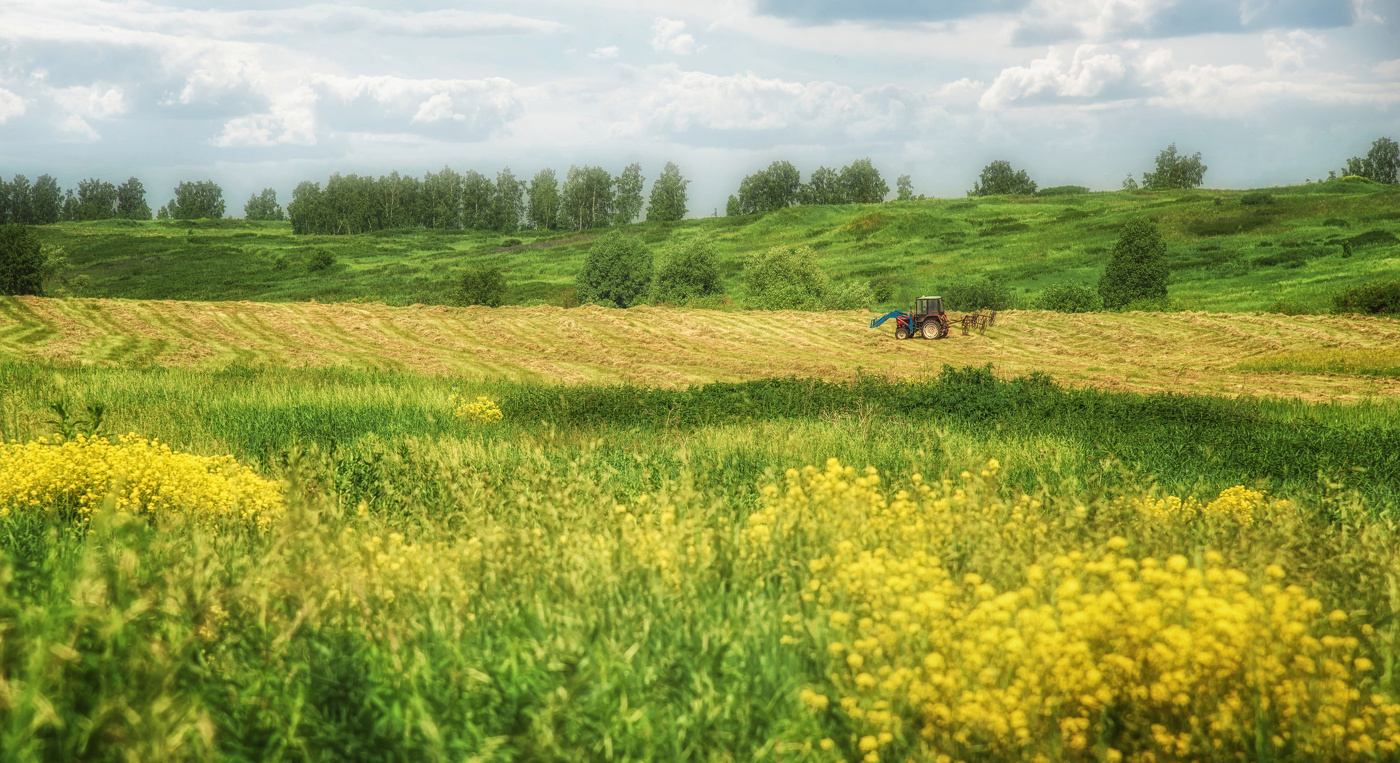 Кормозаготовка