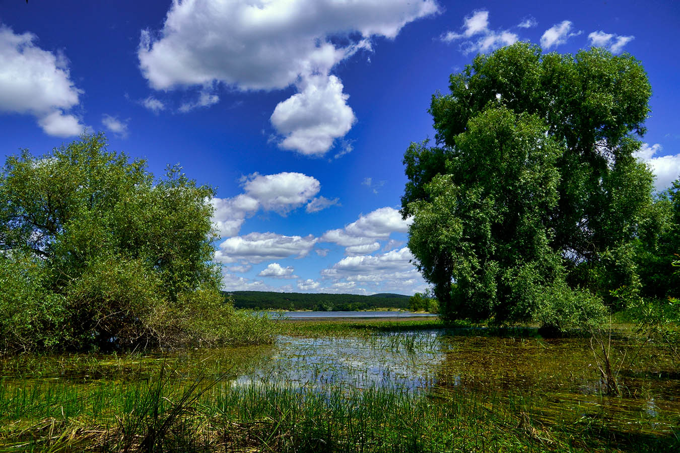 Симферопольское водохранилище