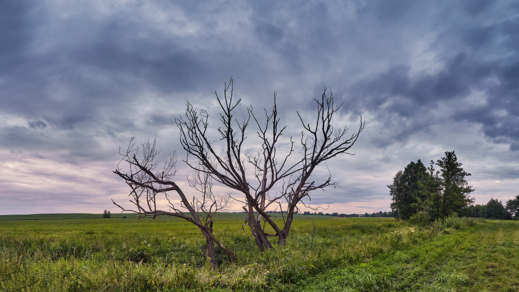 Хмурое Лето