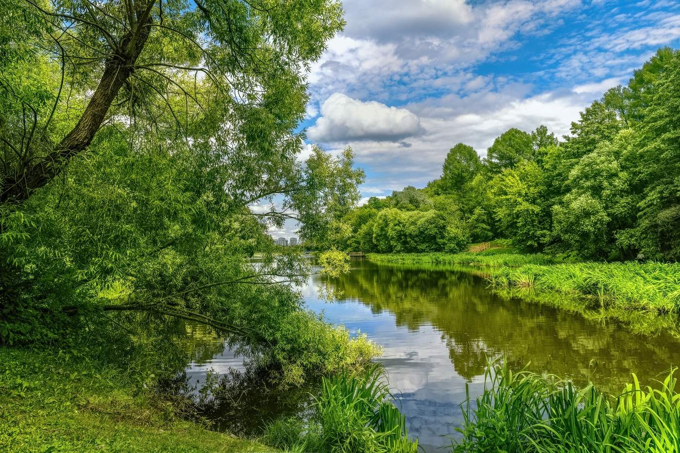 В Ботаническом Саду