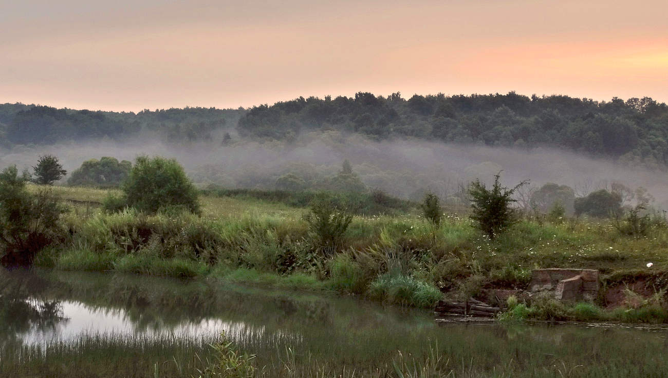 Туман на восходе солнца