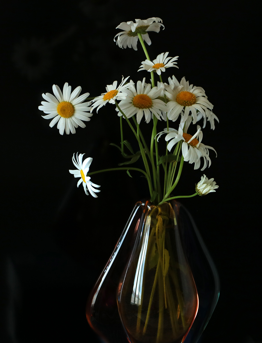 Скромный летний букетик