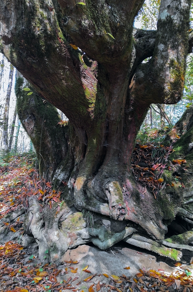 Перерождение.