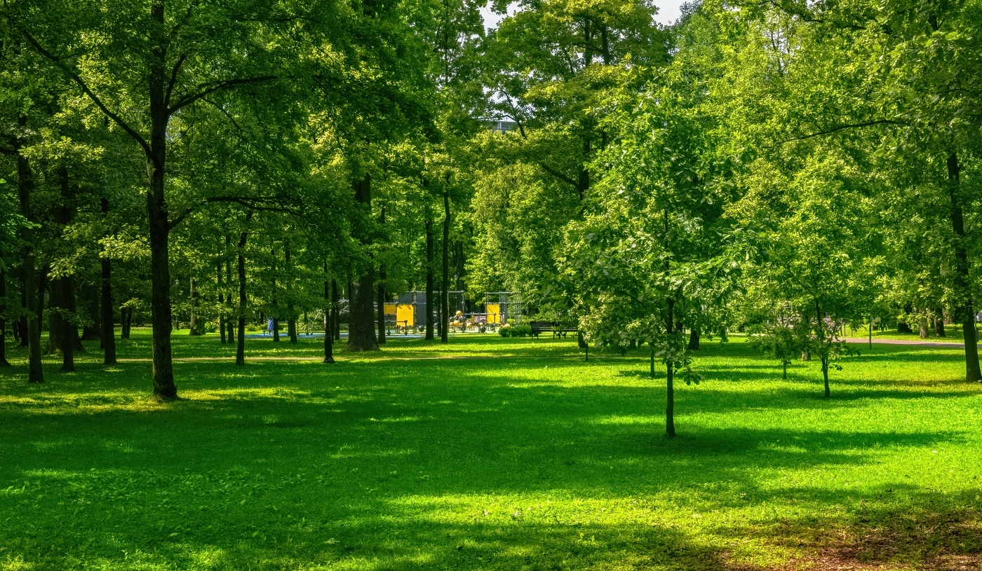 С видом на детскую площадку