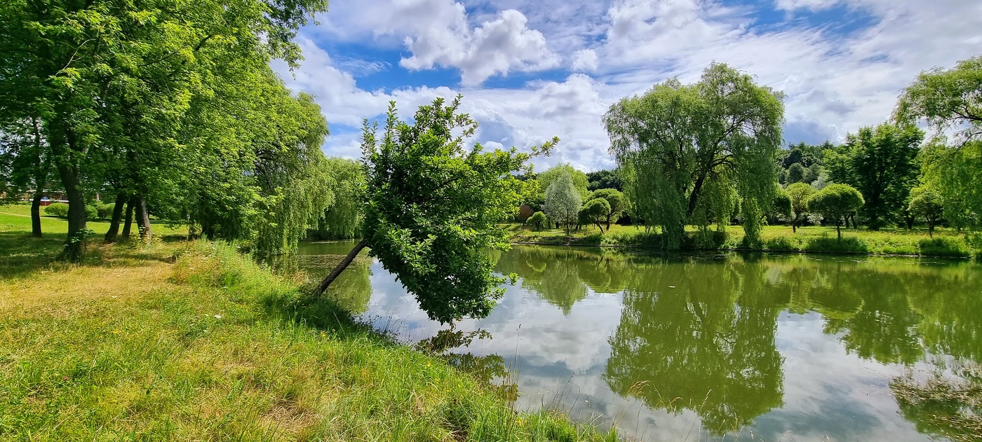 Середина лета...