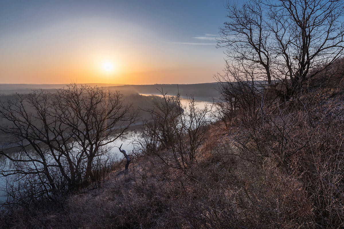 Дубы над рекой