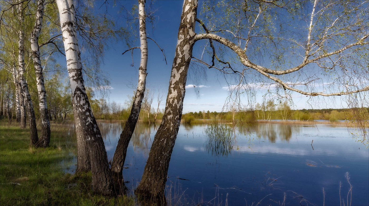 Талые воды.