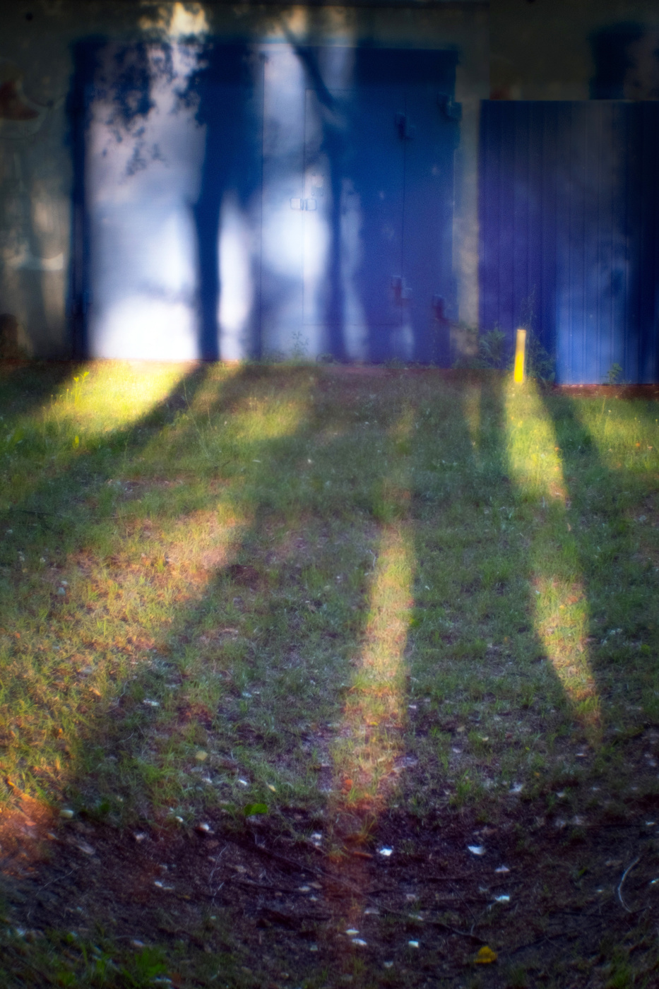 В темно-синем лесу...