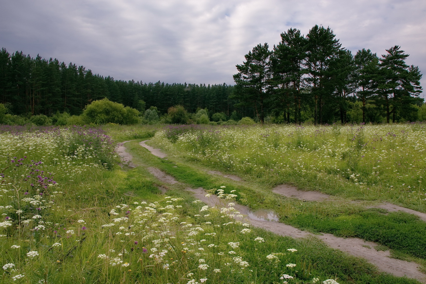 *Хмурым днём.**