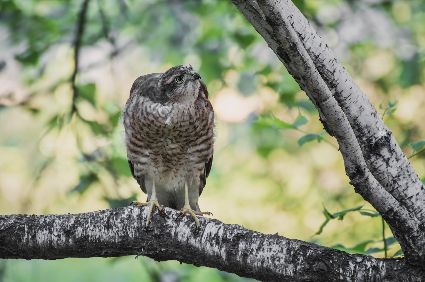 подросток..