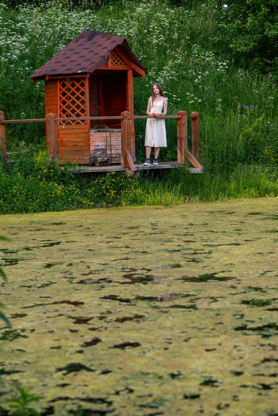 Пруд зацвёл