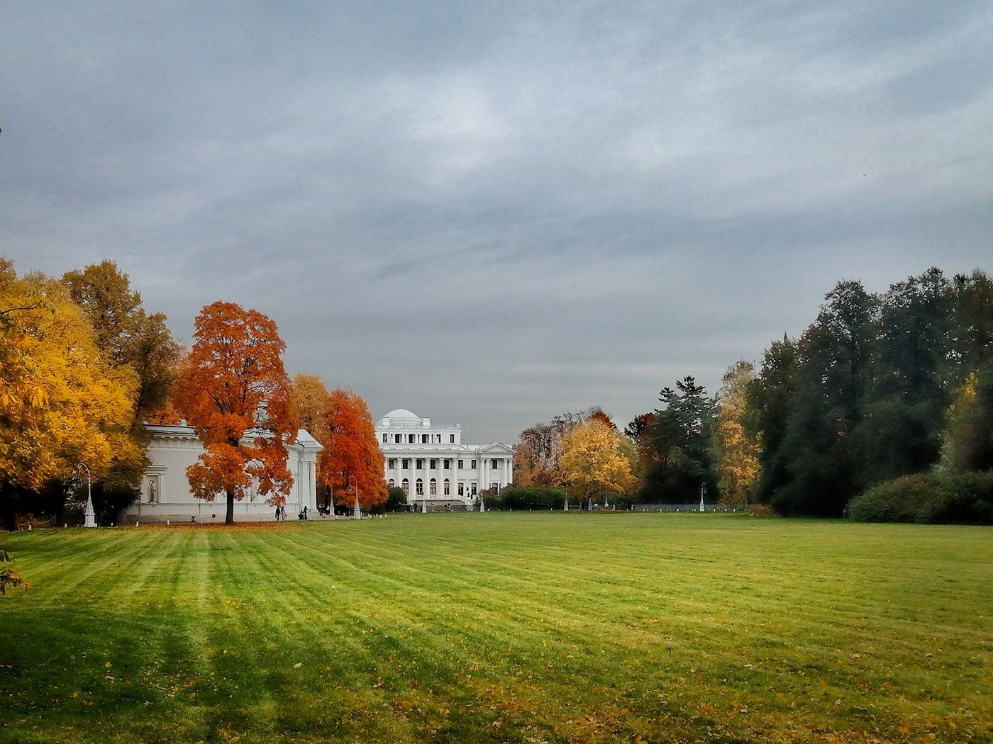 Масляный луг