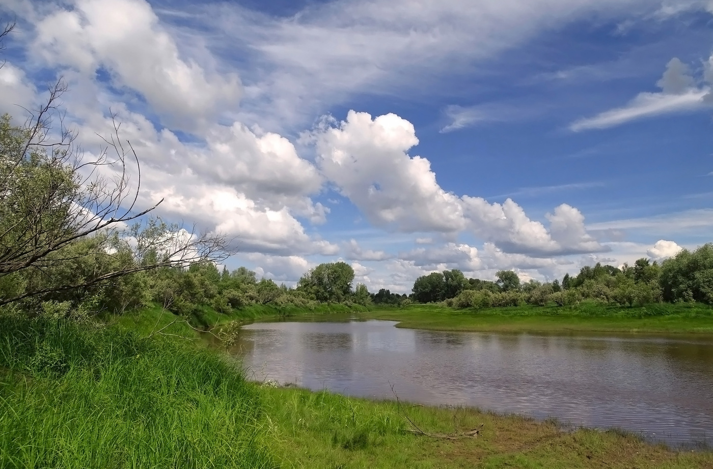 Малый приток Оби