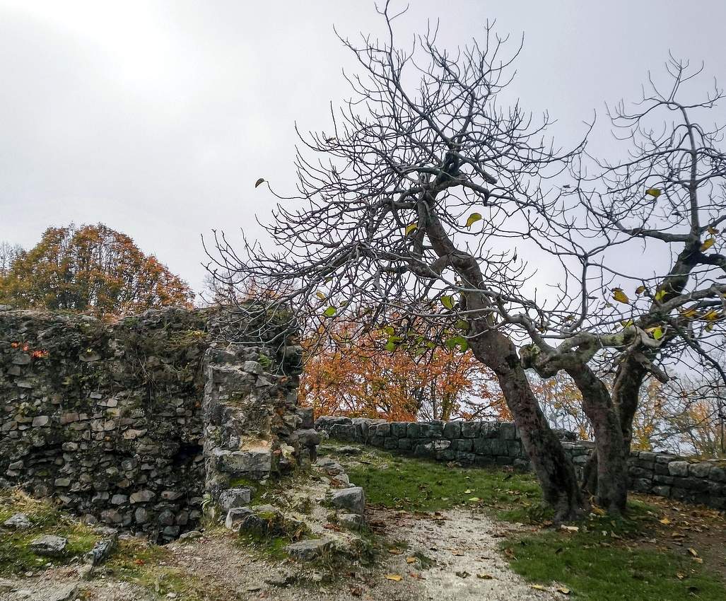 Скорбящие...