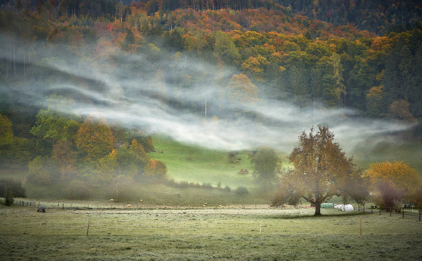В гостях у Осени