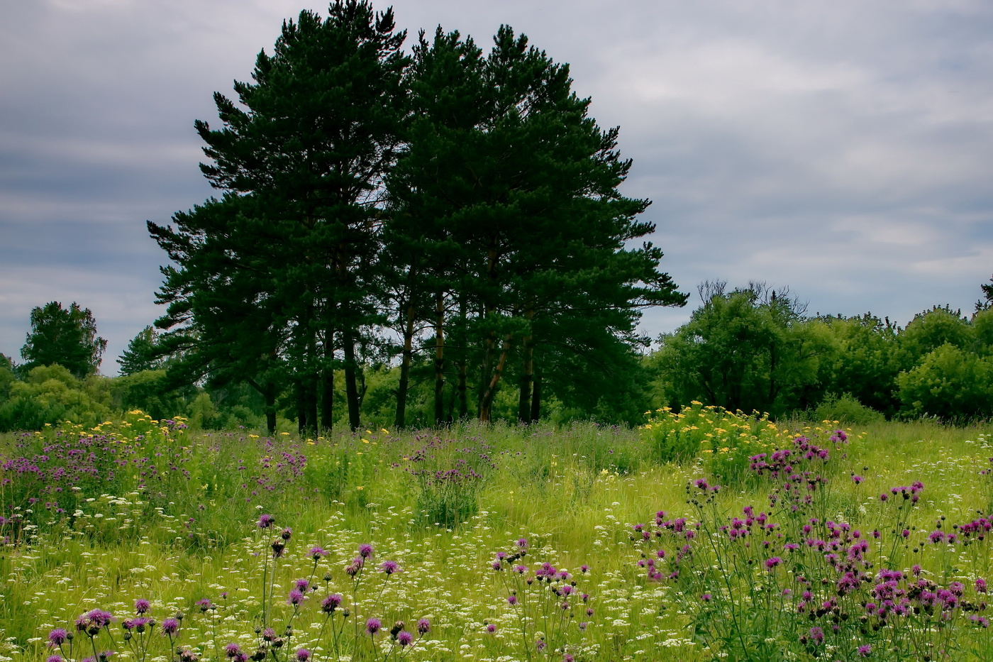 После дождя.