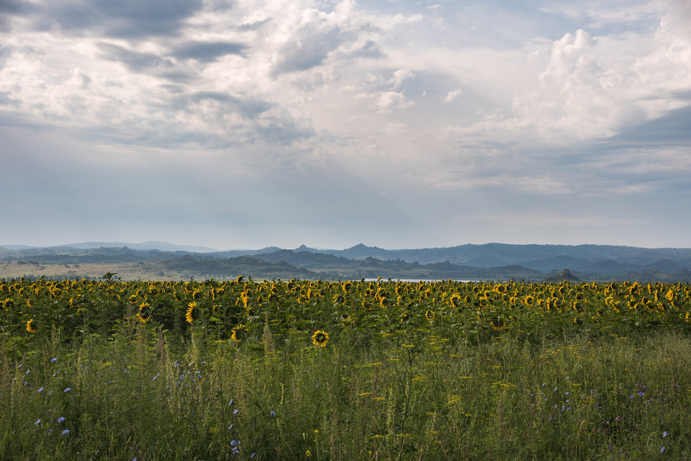 Середина лета