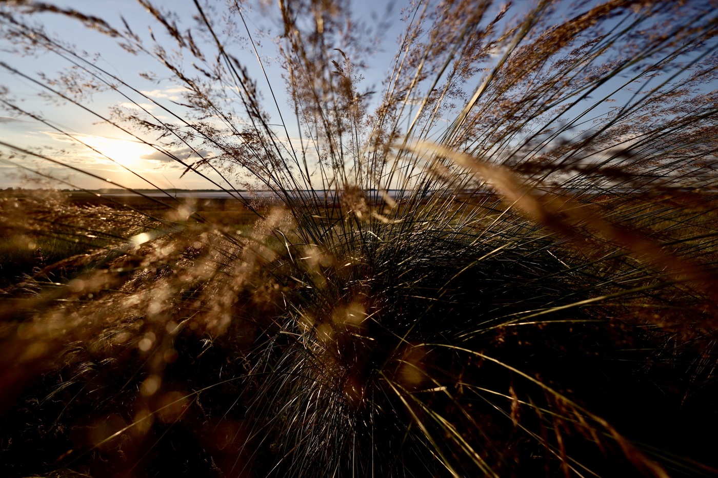 Степной закат