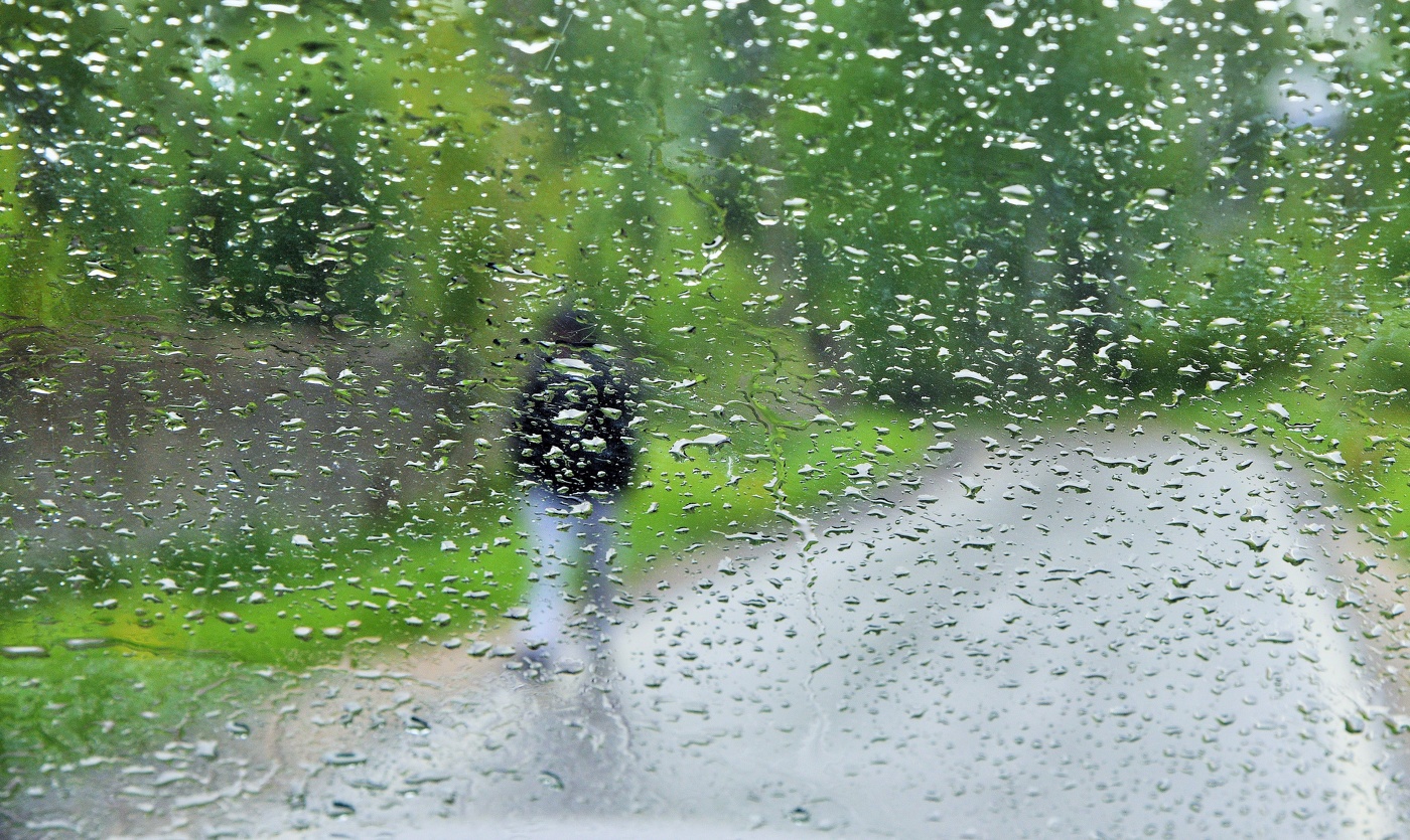 "Смотрю в окно. Не так уж много пространства видится вдали..."