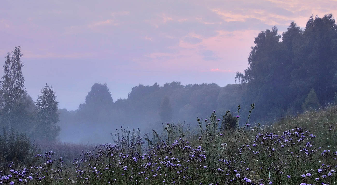 Утренняя туманная заря