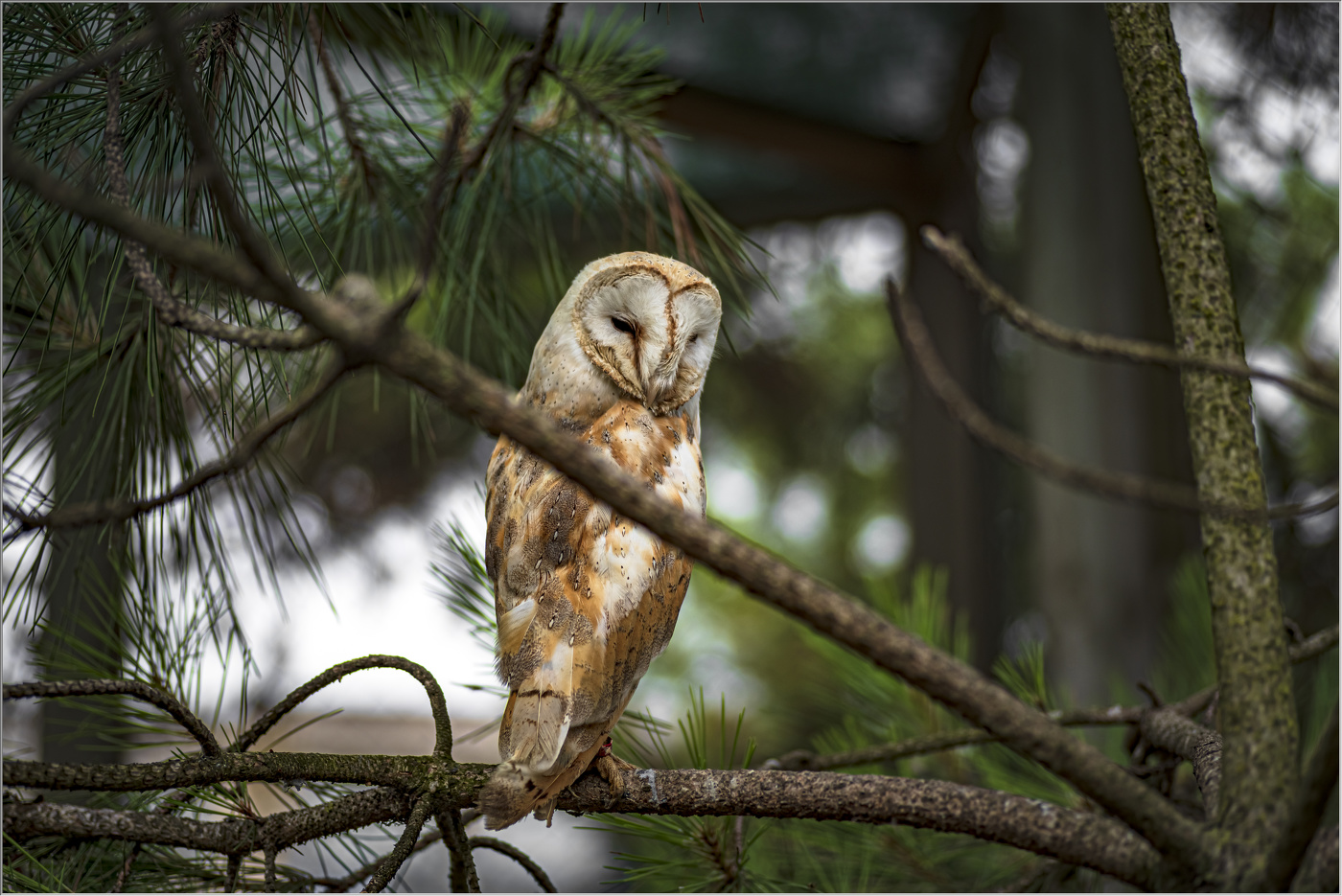 В раздумьях