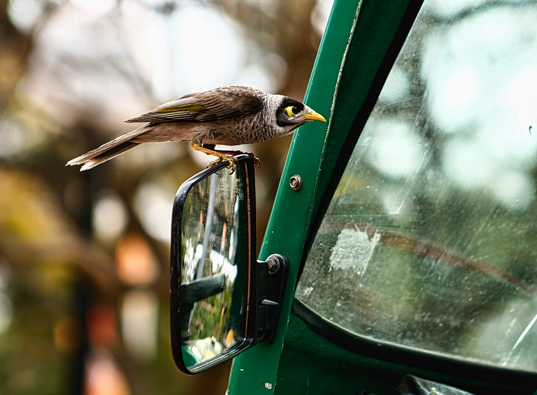 Любопытство не порок …