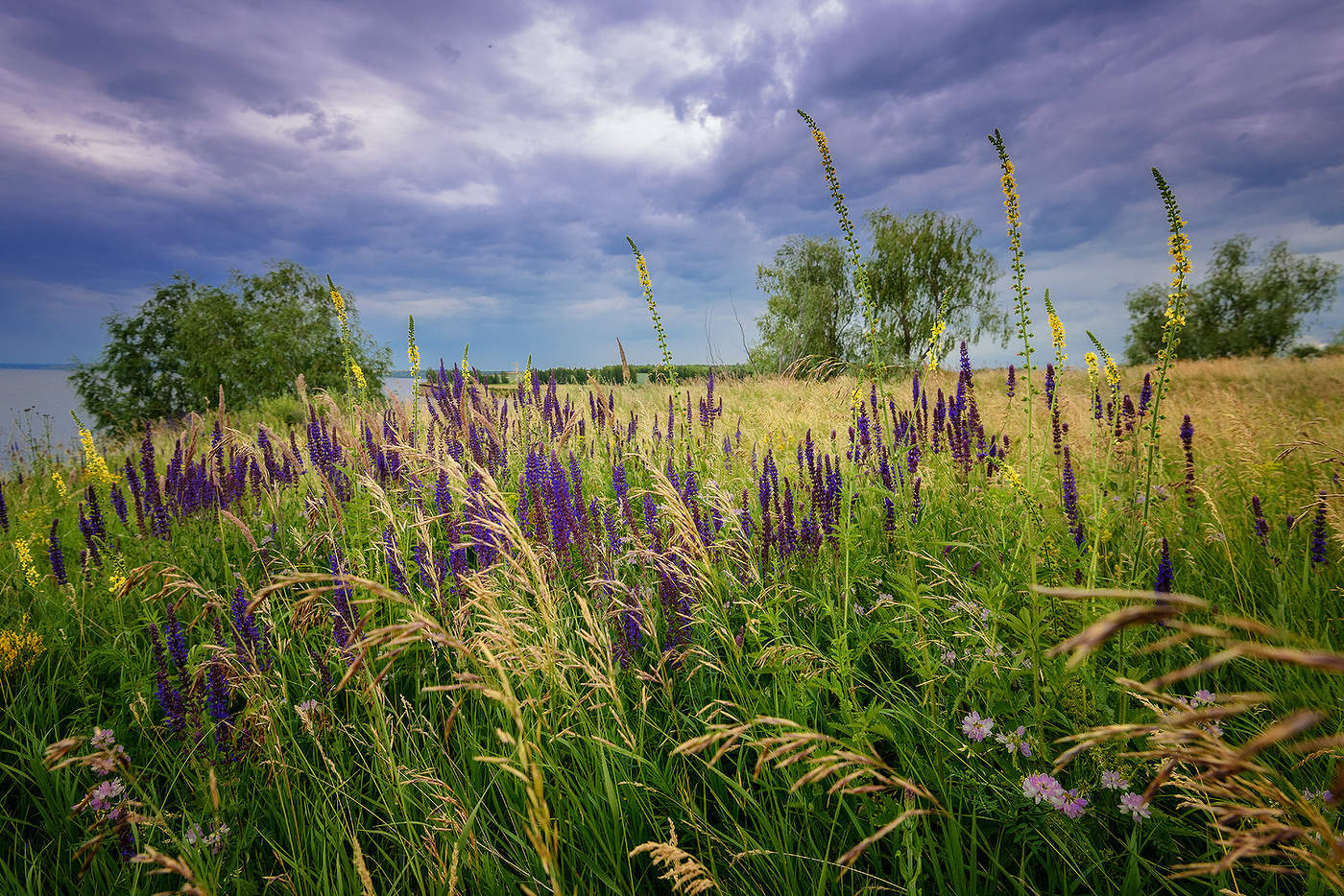 Разноцветье...