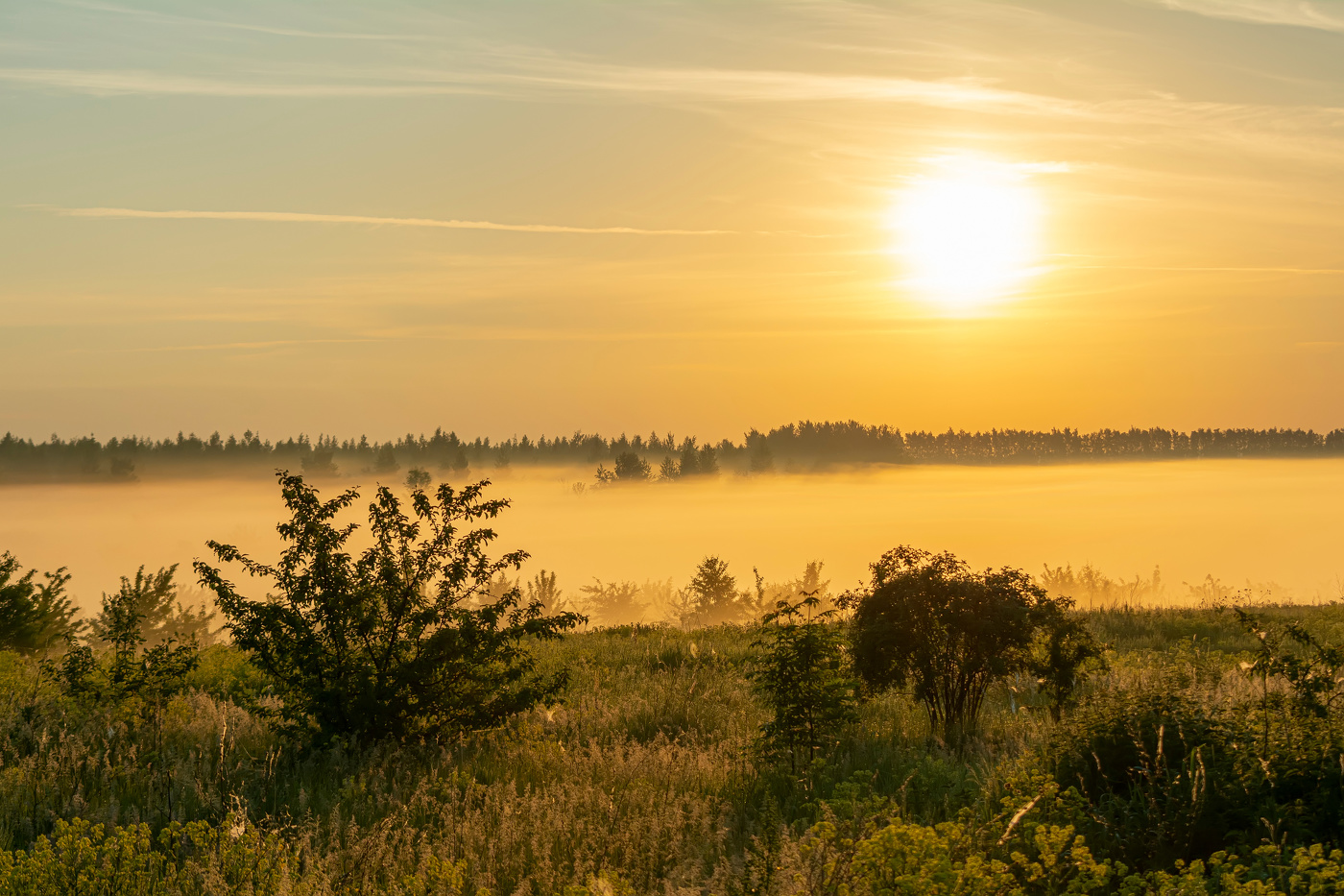 молочная река