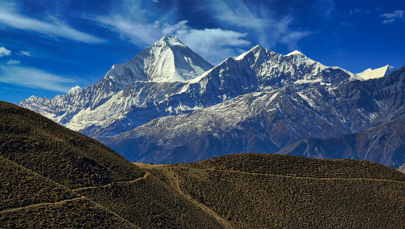 Дхаулагири