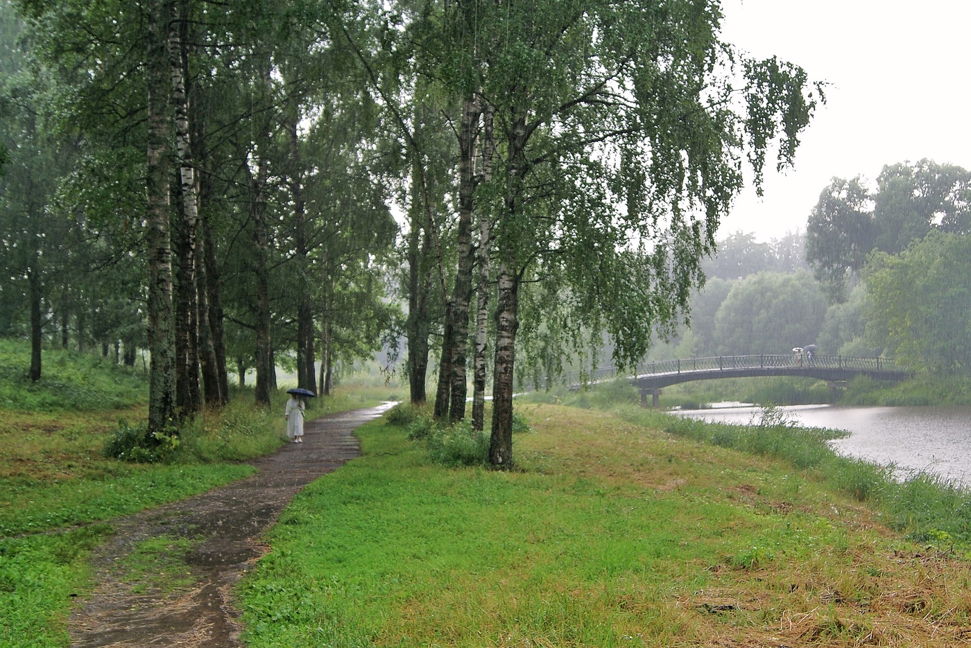 сегодня дождь