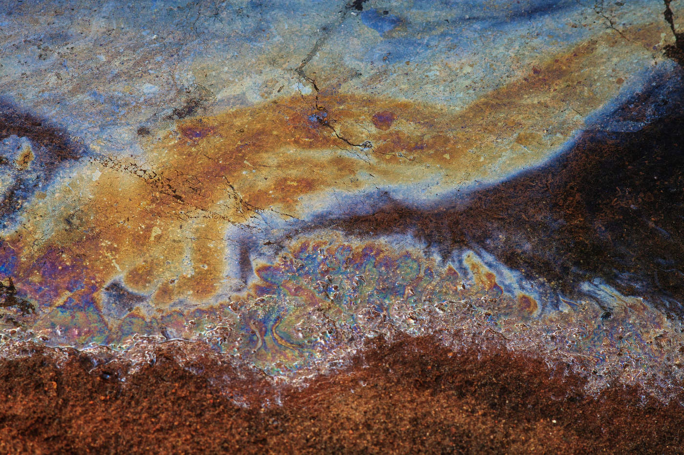 Жизнь вокруг