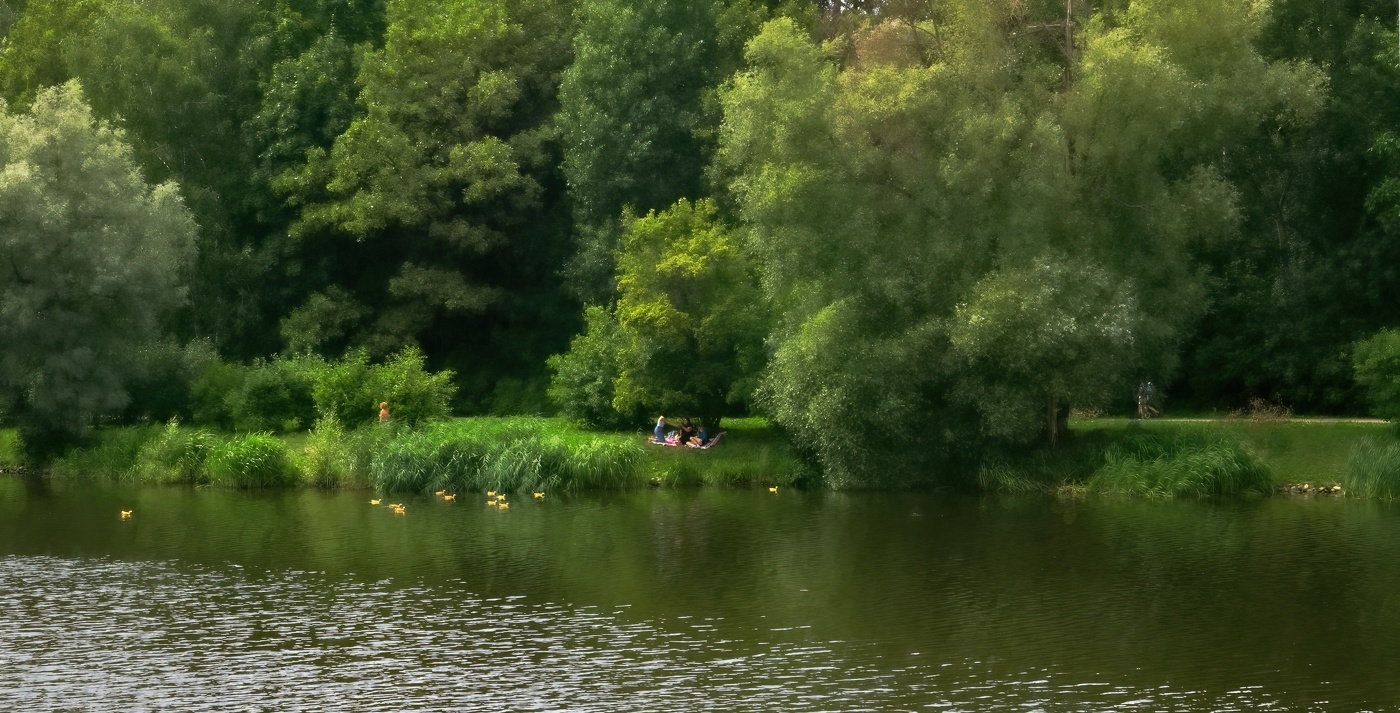 В Останкино