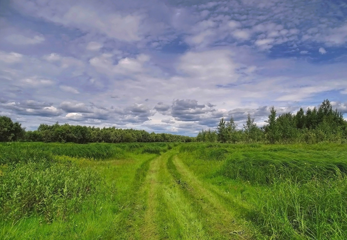 По бездорожью...