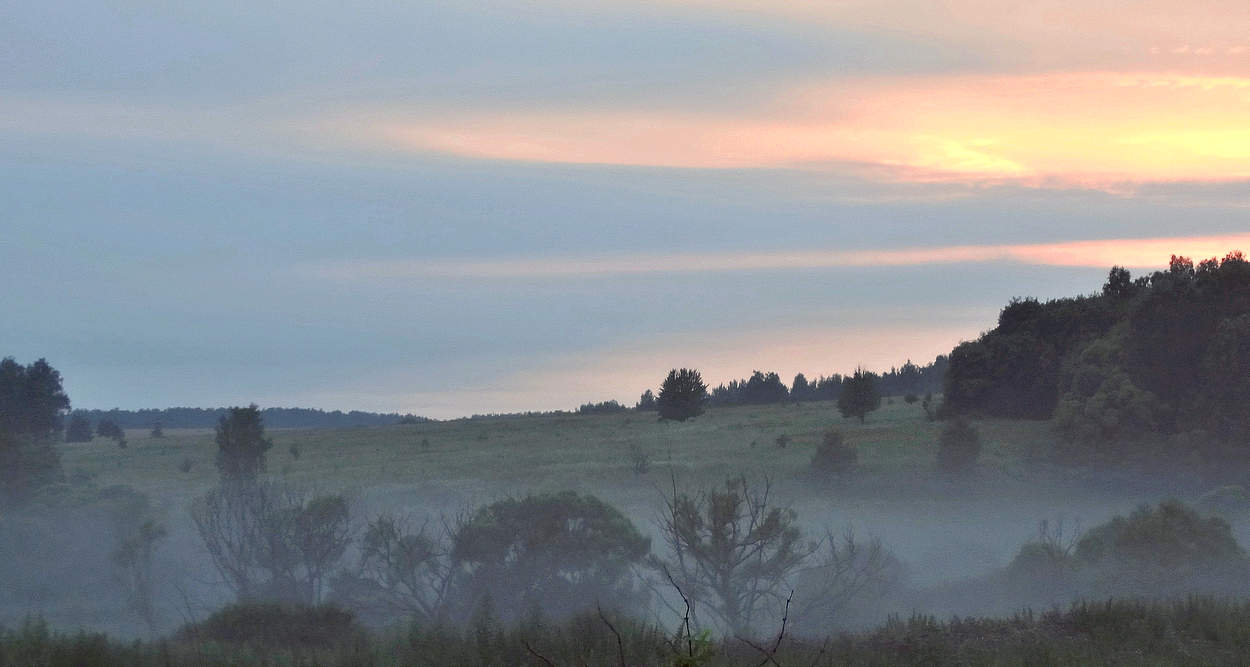 Туманы, мои утренние туманы