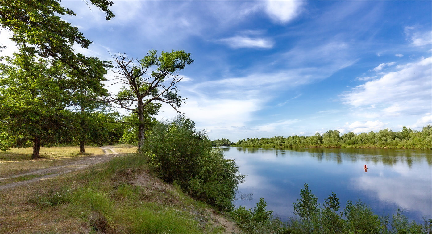 Нет сладостнее летней тишины...