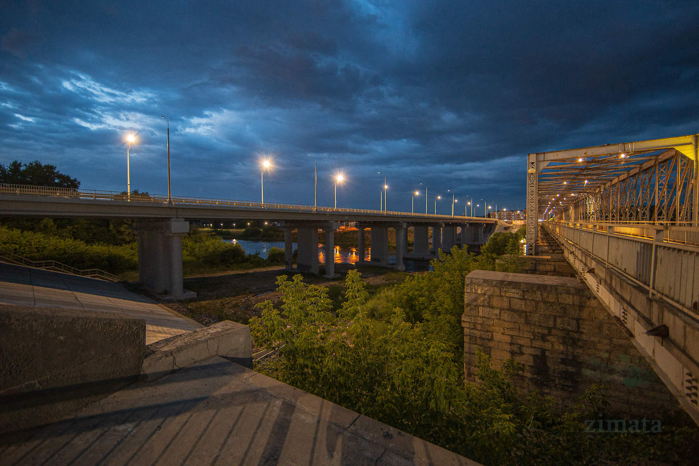 Елец вечерний