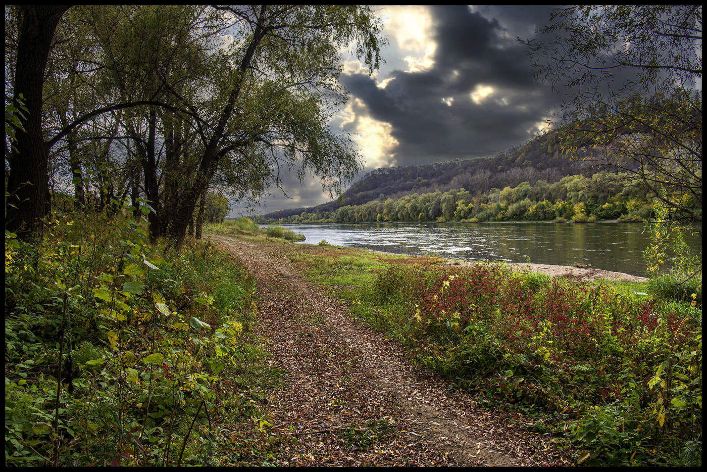 Перед дождем