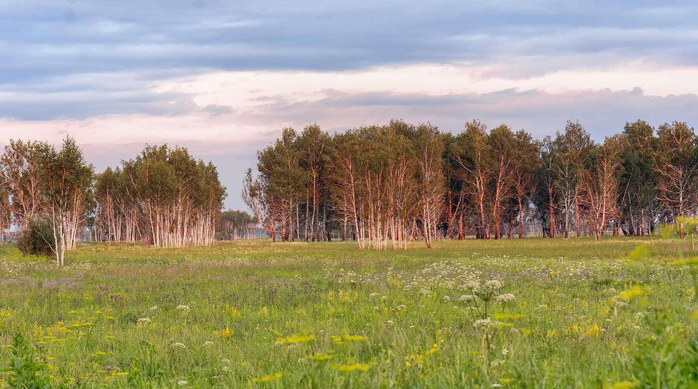 родные просторы..