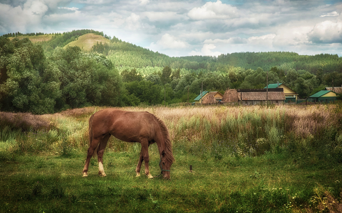 В селе Николаевка