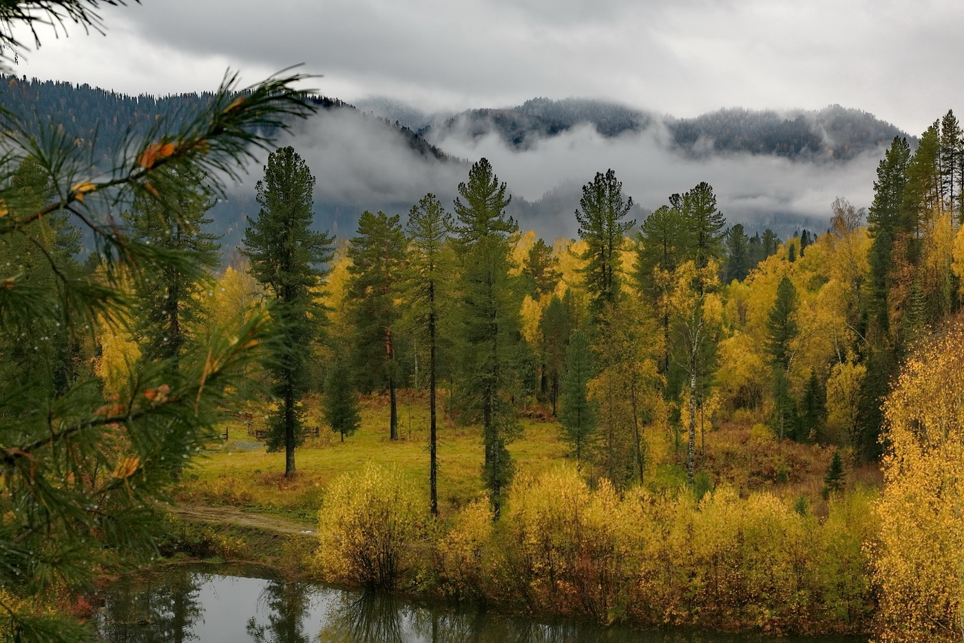 *После дождя.**