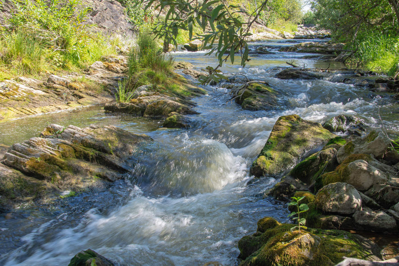 Летние воды