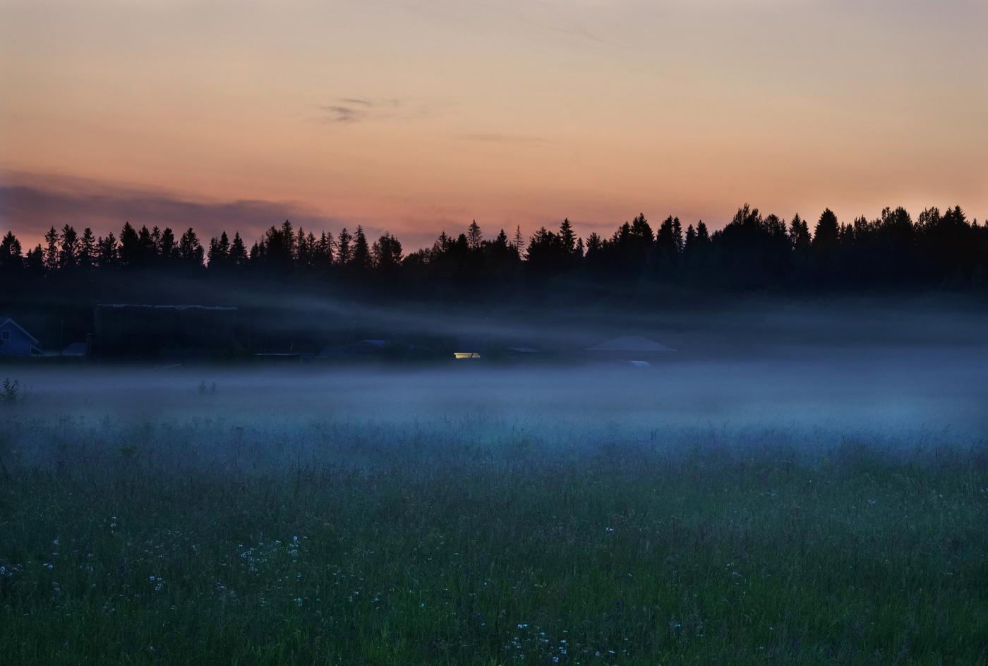 Ночной туман