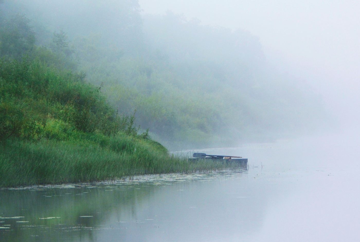 "Безликое, серое утро и сизый туман словно дым..."