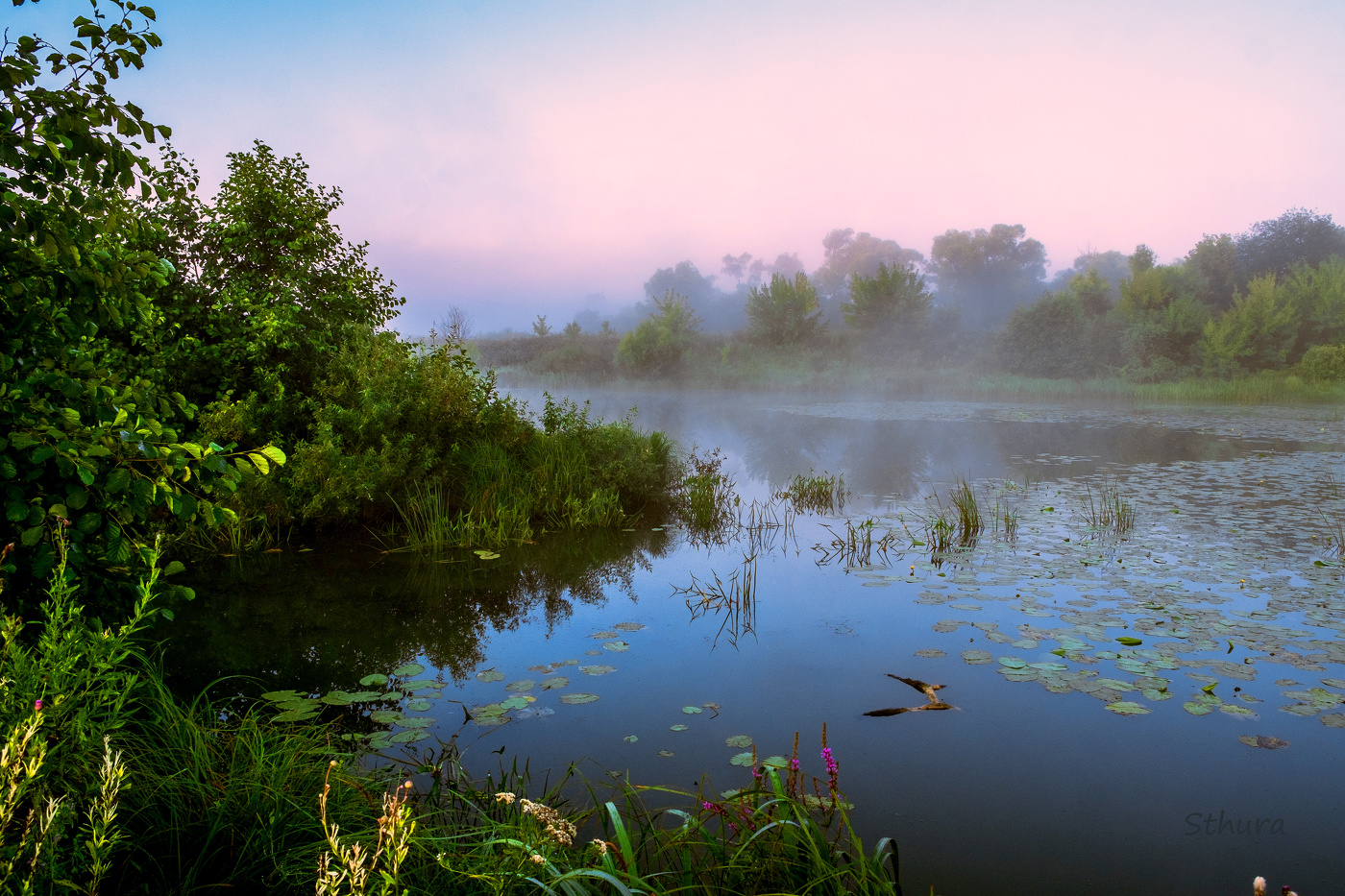Озеро Сосновое.