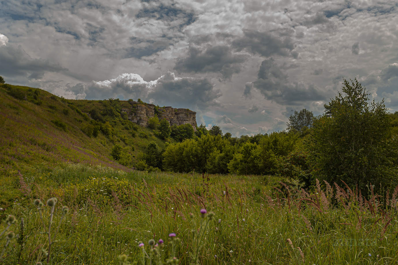 Природа предстепья